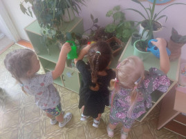Неделя воды Неделя воды.