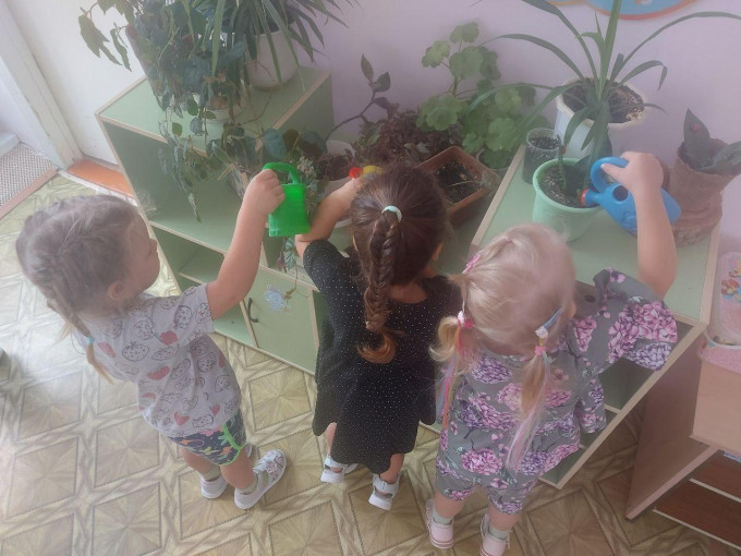 Неделя воды Неделя воды.